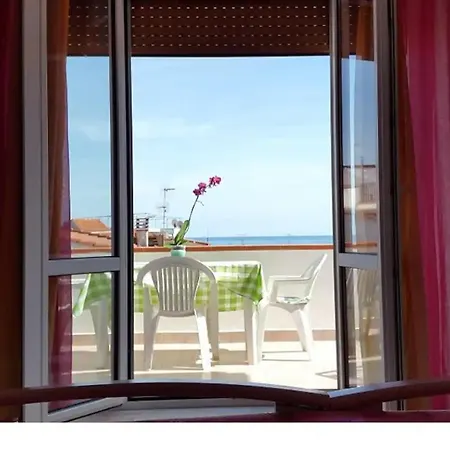 Palma *